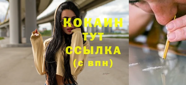 соль ск Сосновоборск