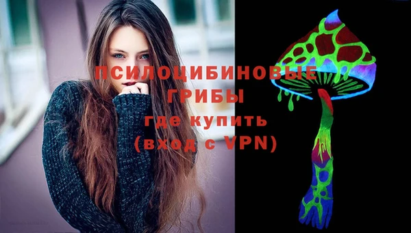 спайс Дмитров