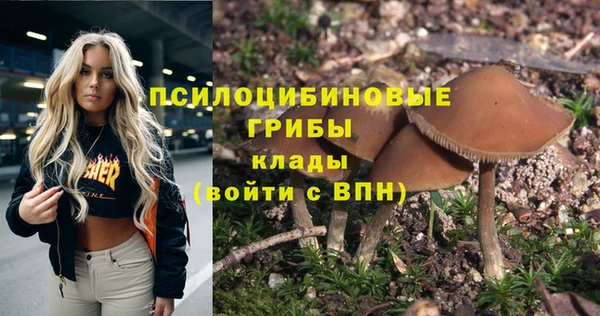 а пвп мука Дмитровск